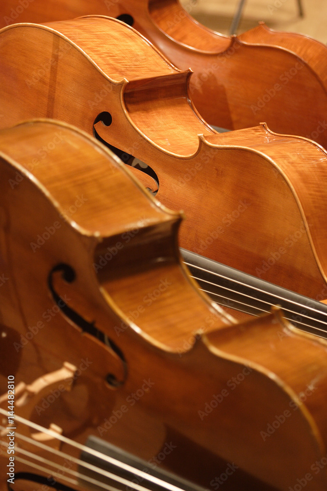 Fototapeta premium Contrebasses