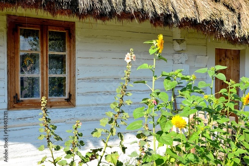 Obraz na płótnie flowers on the old wooden hut covered with thatch village w salonie