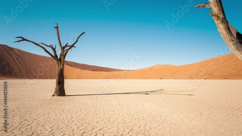 Static timelapse of a landscape scene in Deadvlei, Namibia with a solidified tree in a white clay pan while the shadows are  d sand dunes available on request.