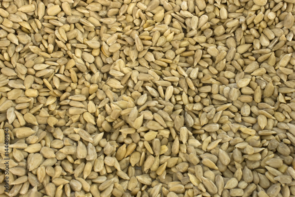 This is a photograph of hulled Sunflower Seeds This is a photograph of hulled Sunflower Seeds