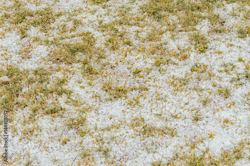 Photos Soil with saltpeter and grass in the Andes in Catamarca, Argentina