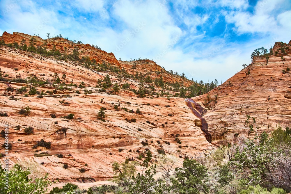 Incredibly beautiful landscape in Zion National Park, Washington County, Utah, USA. Incredibly beautiful landscape in Zion National Park, Washington County, Utah, USA.