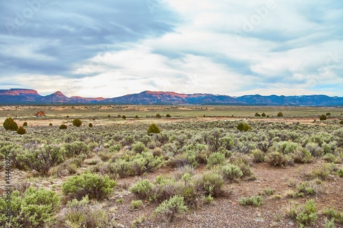 Incredibly beautiful landscape in Zion National Park  Washington County  Utah  USA.