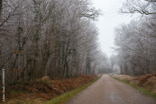 Empty road at Le Morvan, France, during winter
