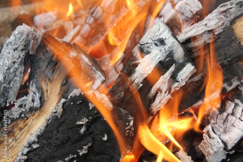 Bright burning fire of wood at fireplace 20422 © Dimanchik