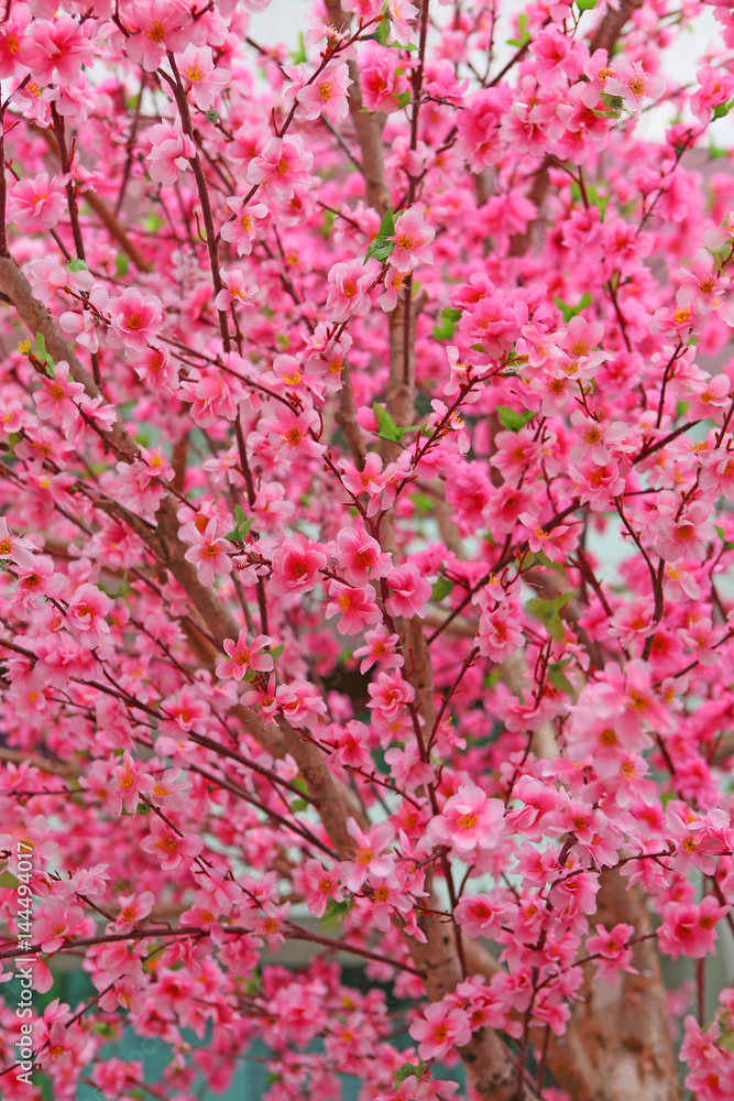 Artificial Sakura flowers for decorating japanese style selected focus at center Artificial Sakura flowers for decorating japanese style selected focus at center