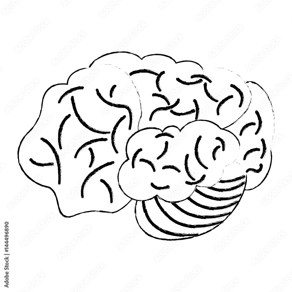 sketch brain human development idea vector illustration eps 10 - obrazy, fototapety, plakaty 