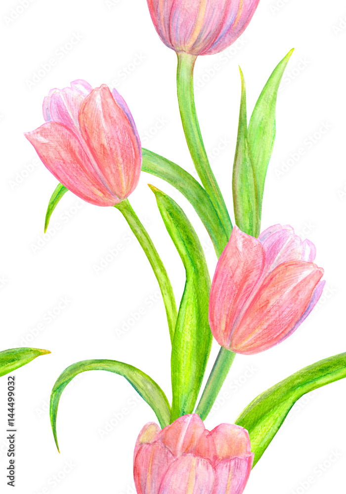 Fototapeta premium nice seamless texture with lovely tulips for your design. watercolor painting