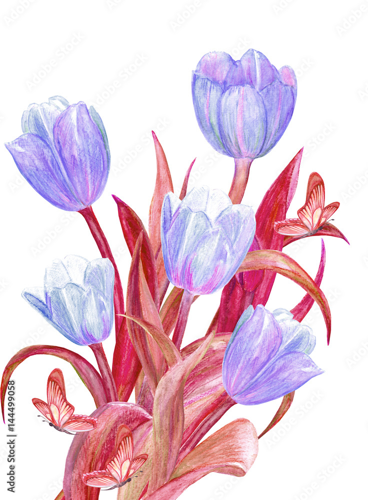 floral fantasy with tulips and butterflies for your design. watercolor painting floral fantasy with tulips and butterflies for your design. watercolor painting
