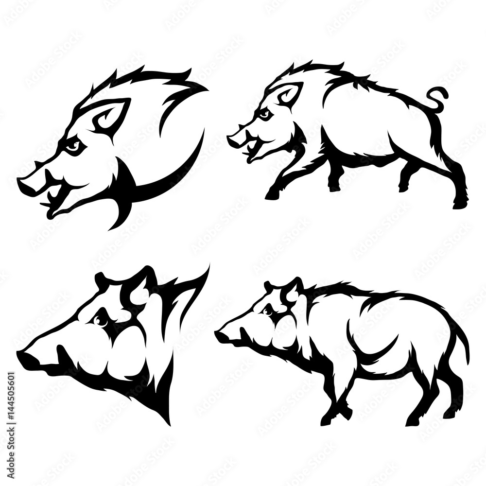 Vector set of black wild boars and boar logo Isolated on white