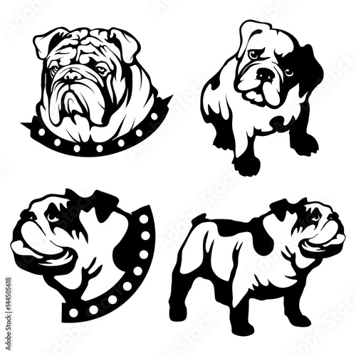 Vector set of black bulldogs head and bulldog logo Isolated on white background