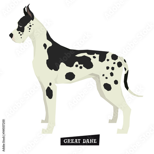 Dog collection Great Dane Geometric style Isolated object