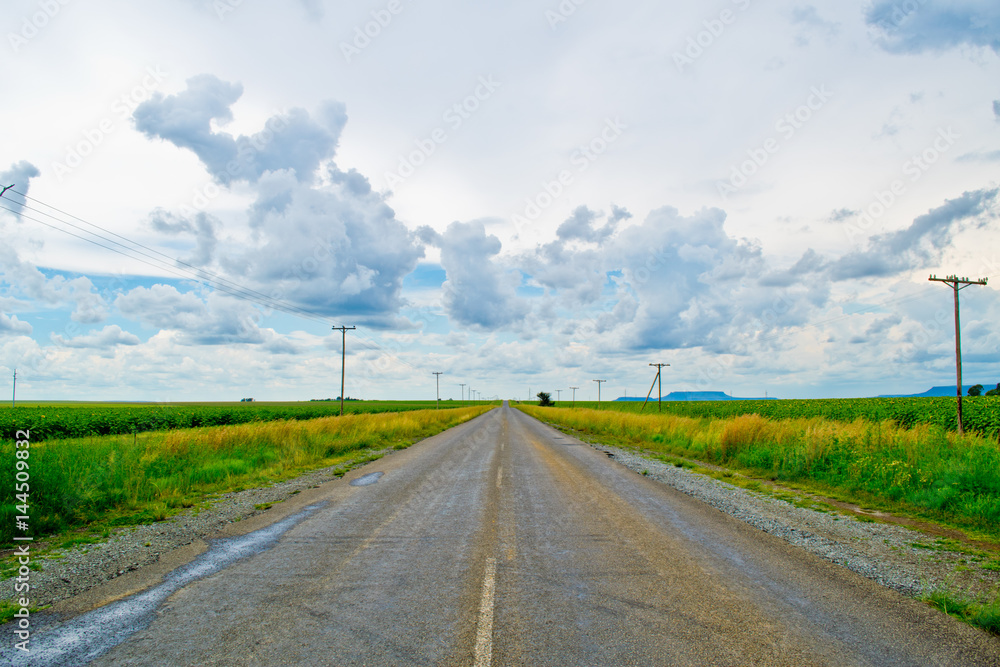 Fototapeta premium Rural road between sunflower fields