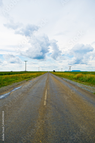 Rural road between sunflower fields