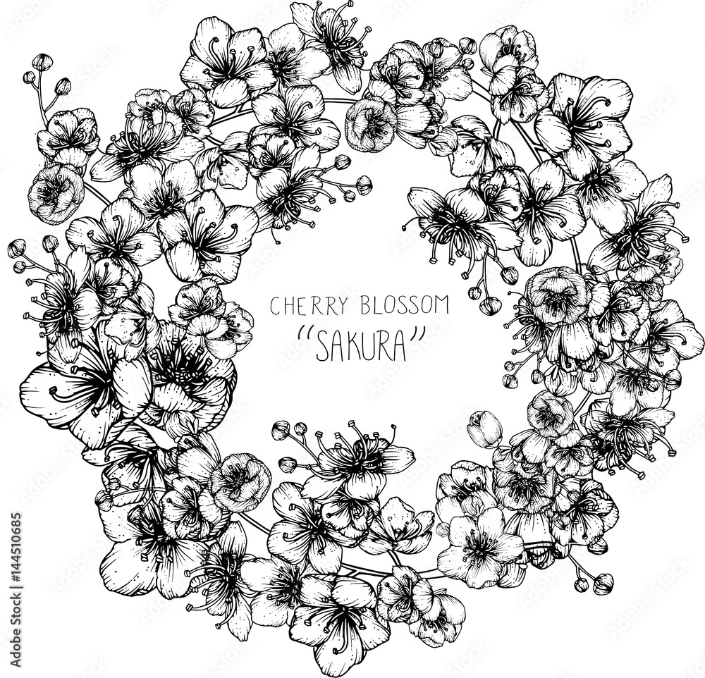 drawing flowers. cherry blossom clip-art or illustration. drawing flowers. cherry blossom clip-art or illustration.