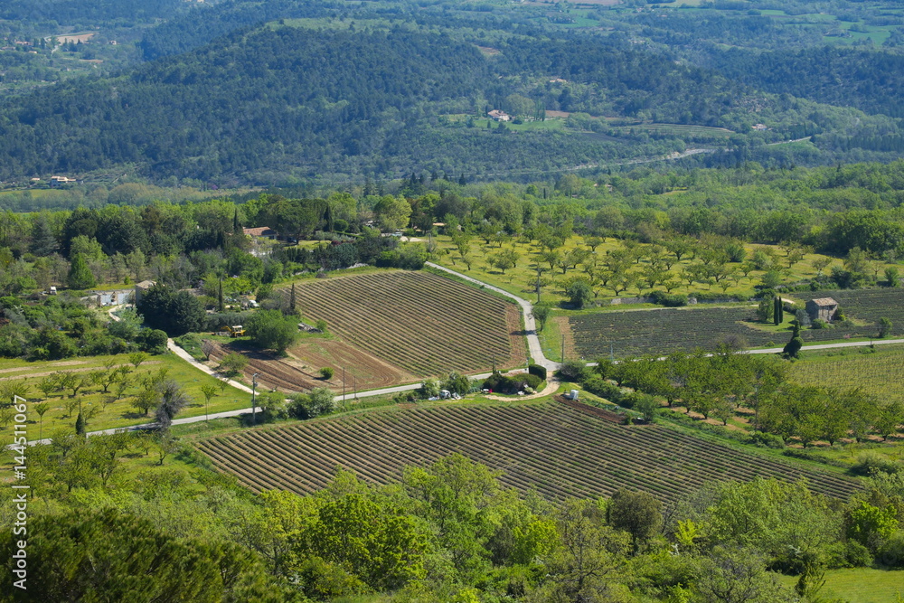 Paysage Provençal au printemse.