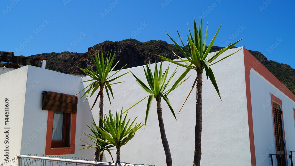 typical white houses in a Mediterranean island with green cactus