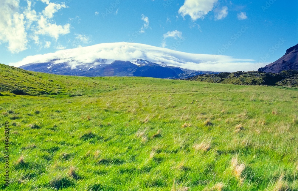 Blick über Wiese zum mit Schnee bedeckten Vulkan Snæfellsjökull, Halbinsel Snæfellsnes, Island/ Iceland, Europa 