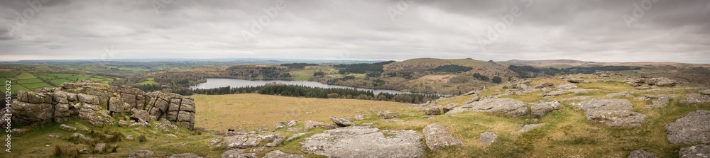 Dartmoor Panorama