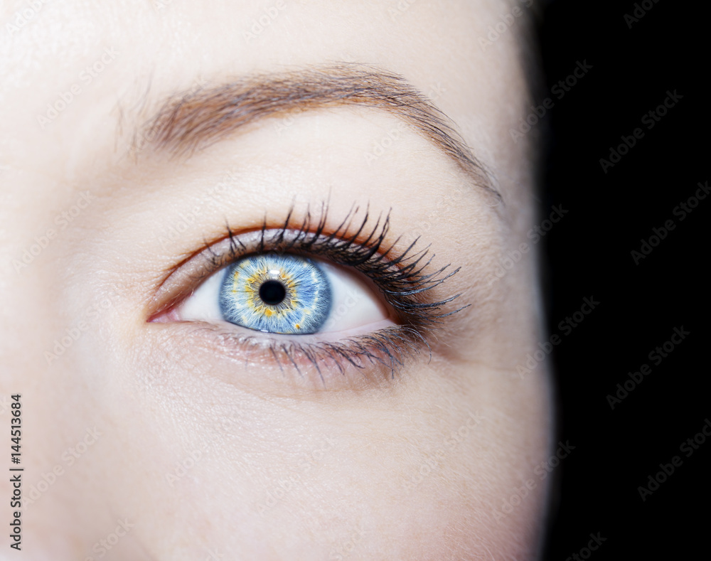 A beautiful insightful look woman's eye. Close up shot A beautiful insightful look woman's eye. Close up shot