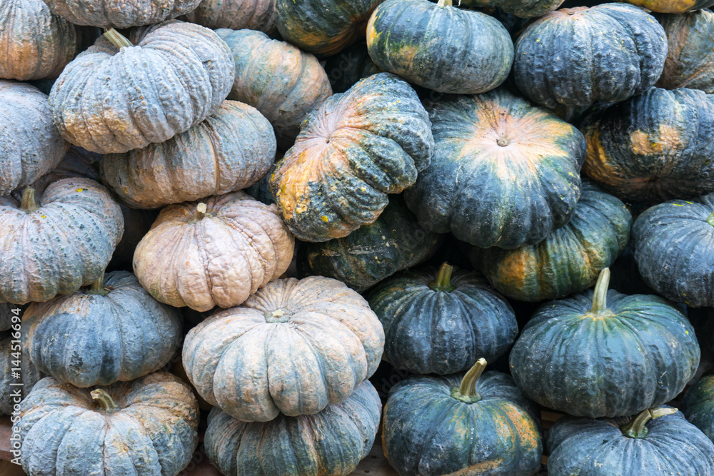 The group of pumpkins, Close up the green pumpkins on bamboo table in market. The group of pumpkins, Close up the green pumpkins on bamboo table in market.