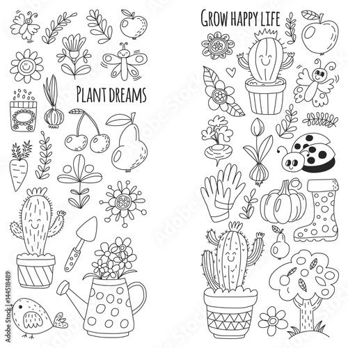 Cute vector garden with birds, cactus, plants, fruits, berries, gardening tools, rubberboots Garden market pattern in doodle style for coloring pages, coloring books