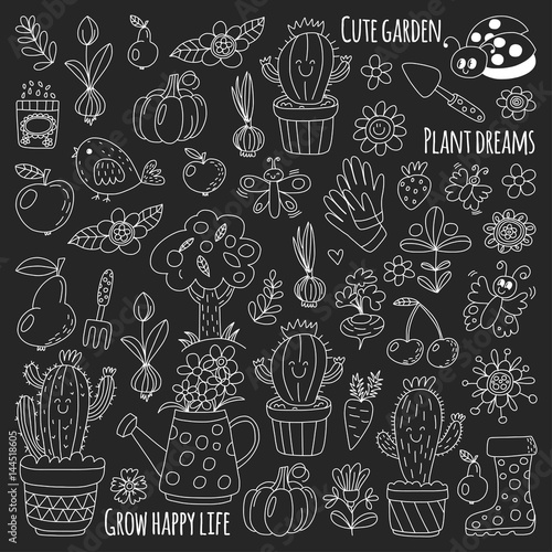 Cute vector garden with birds, cactus, plants, fruits, berries, gardening tools, rubberboots Garden market pattern in doodle style isolated on blackboard