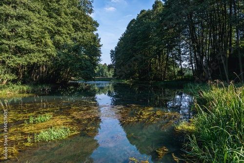 River Brda River flows through the forest near Koronowo town, Poland