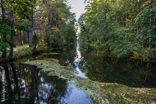 Great Canal of Brda River in Pomorskie Region  Poland