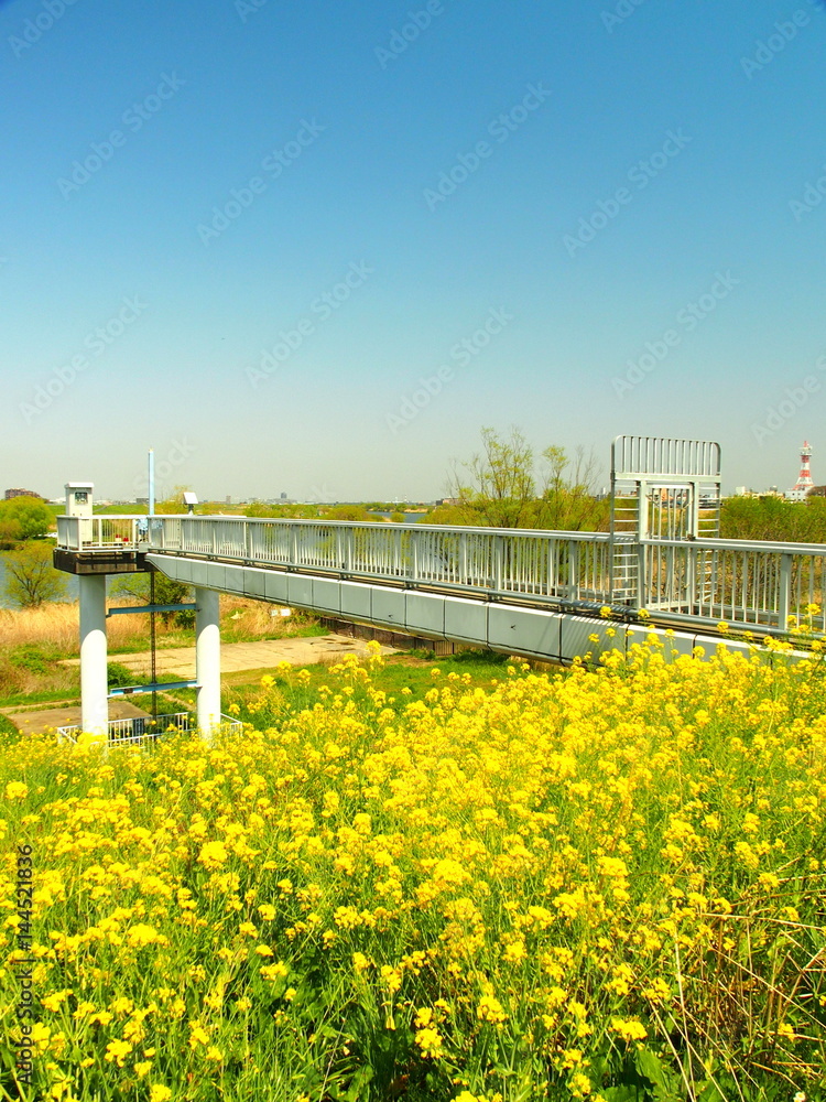 Fototapeta premium 樋管ゲートのある風景