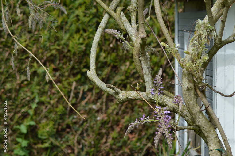 arbre arbre