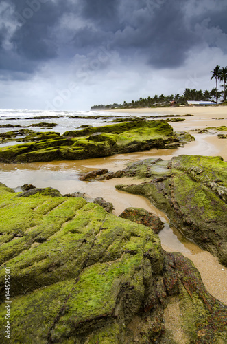 beautiful sea view, wave hitting the rock covered by vibrant green mossy and algae.dramatic cloudy sky