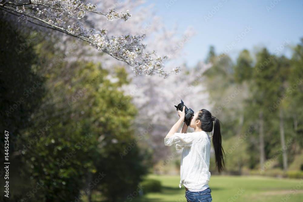 写真を撮る女性 写真を撮る女性
