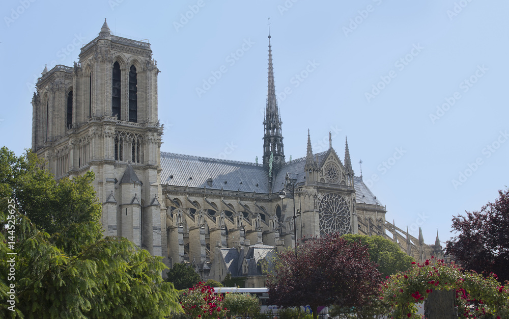 View of the cathedral Notre-Dame de Paris