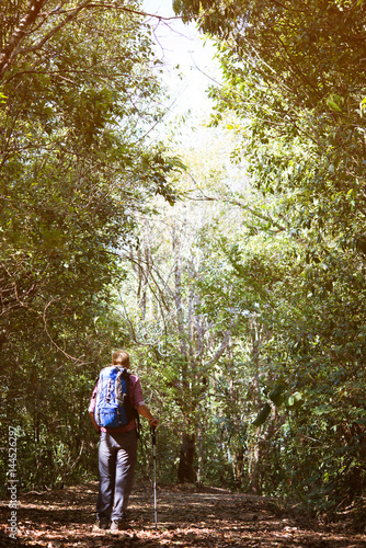 Men travel  with backpack walking in forest. © Lealnard