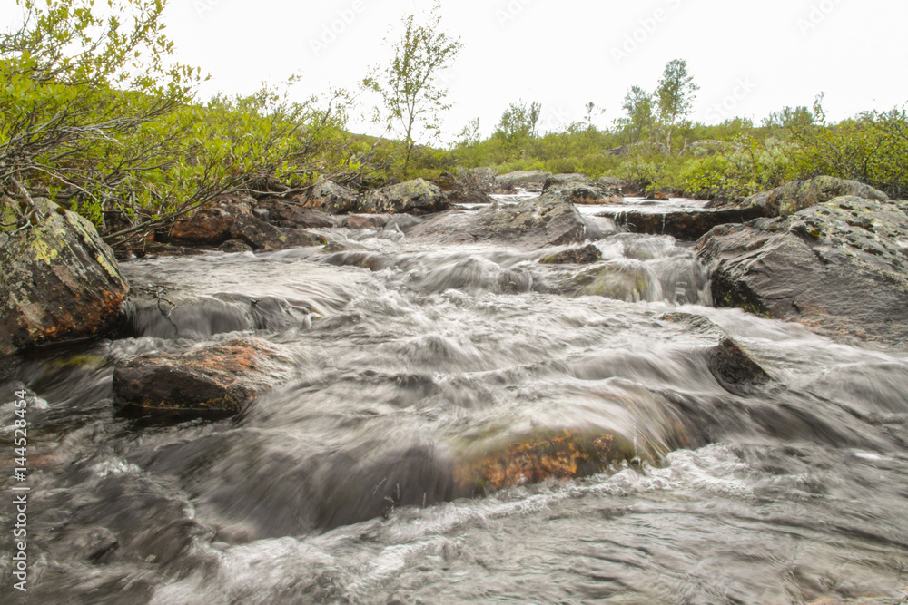 Fototapeta premium Creek