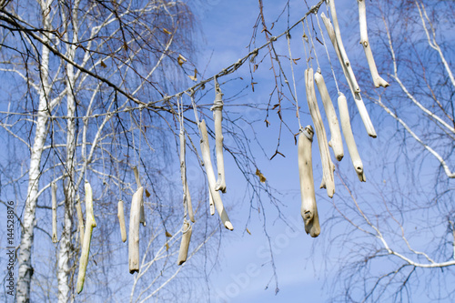 Wooden stick garland on birch and blue sky background