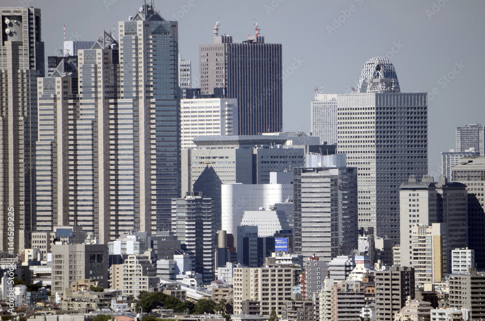 Fototapeta premium 東京の街並み