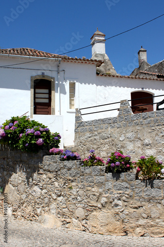 Portugal, Algarve, Monchique. White wall of house with flowers on blue sky background, vertical view.