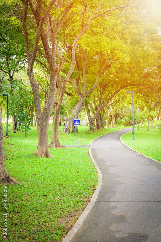 Bicycle asphalt path in the park on a sunny day.