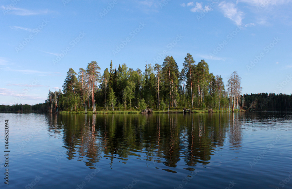 Fototapeta premium Russia, karelia. Island with forest on lake on blue sky background, horizontal view.