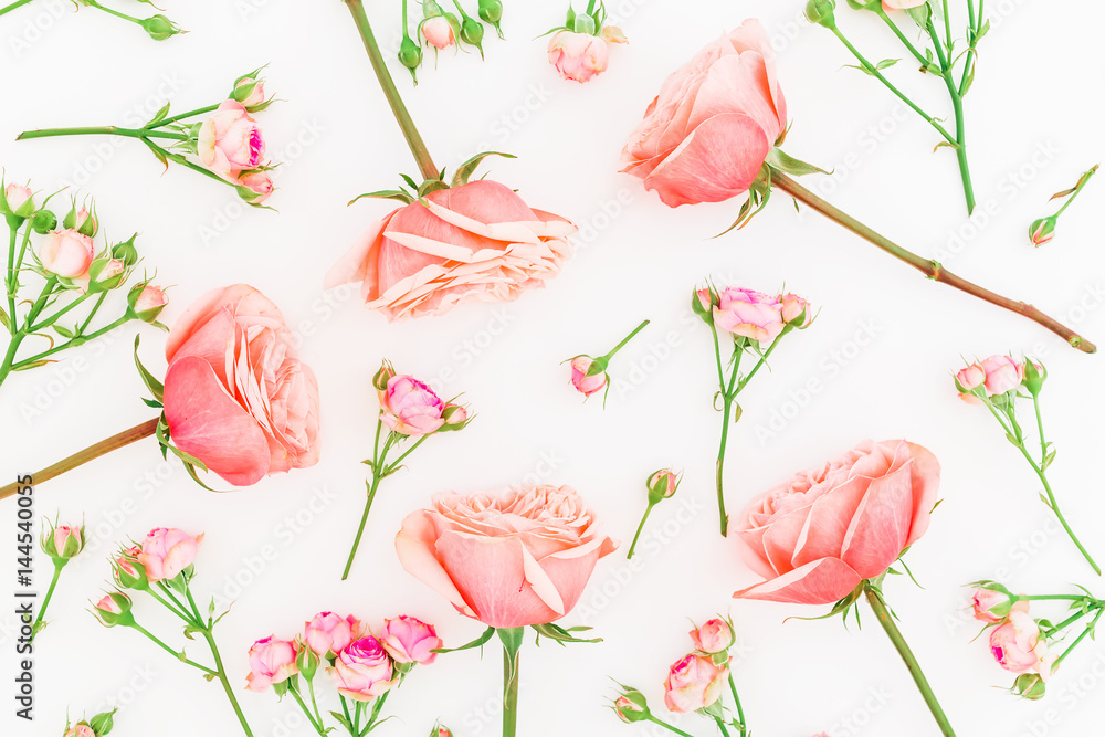 Roses background. Pattern made of pink roses on white background. Flat lay, top view.