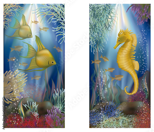 Underwater banners with tropical fish, vector illustration