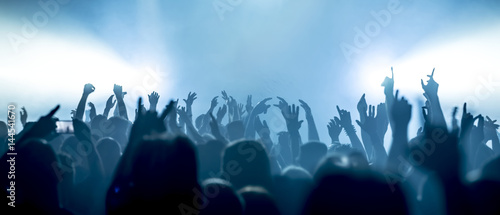 Obraz na plátne cheering crowd at a rock concert