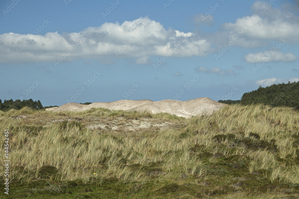A beautiful day at the Dutch beaches A beautiful day at the Dutch beaches