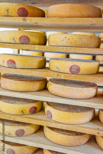 Stack of aging Cheese in ripening cellar creamery Franche Comte