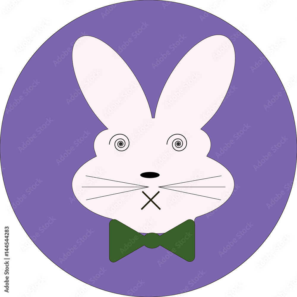 Fototapeta premium cute rabbit faces