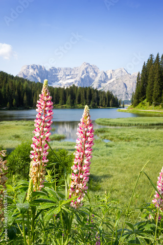 Misurina Lake