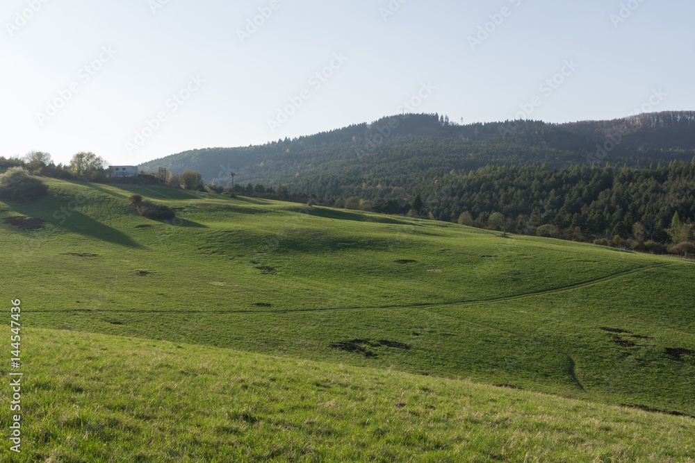 Meadow with green grass and trees during sunny day. Slovakia Meadow with green grass and trees during sunny day. Slovakia