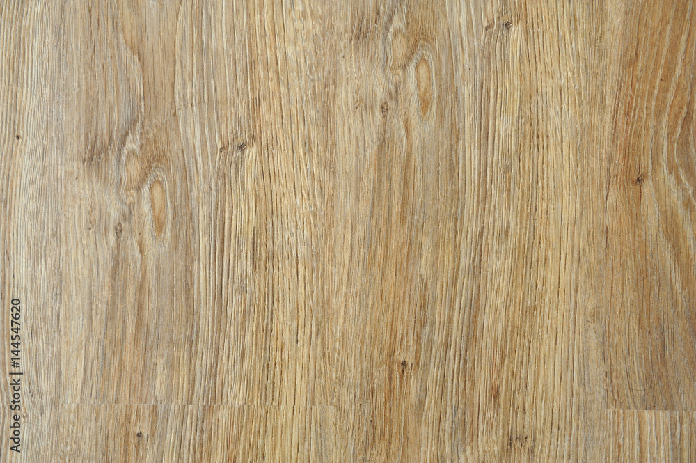 Floor covering under the image of a tree Floor covering under the image of a tree
